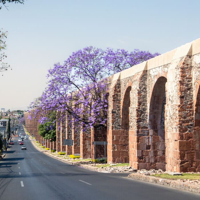 queretaro-mexico-aqueduct-with-jacaranda-tree-and-suntuo turismo de lujo en queretaro