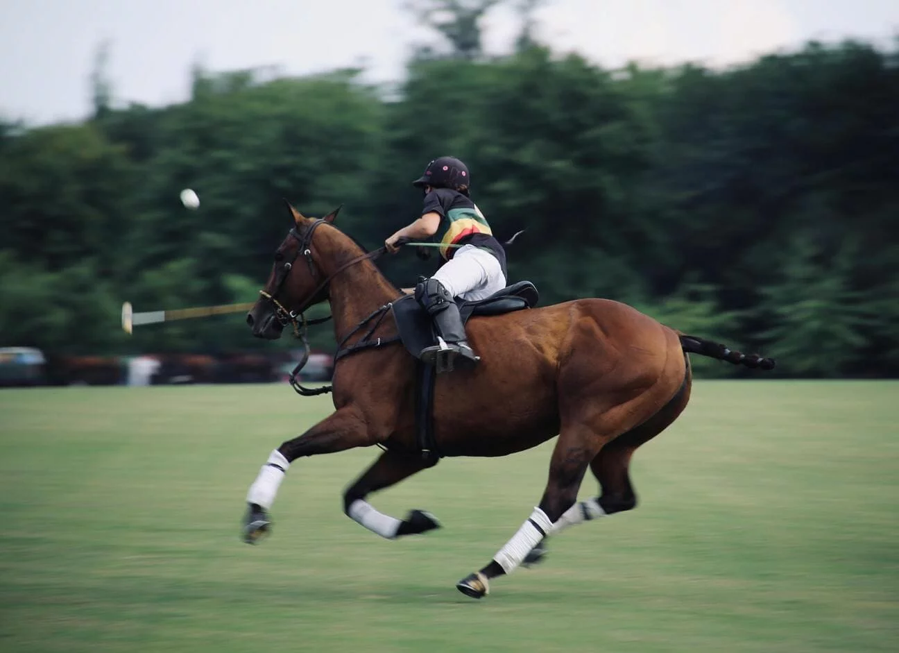 Jinete en plena acción durante un partido de Viñedos de Polo en Querétaro.
