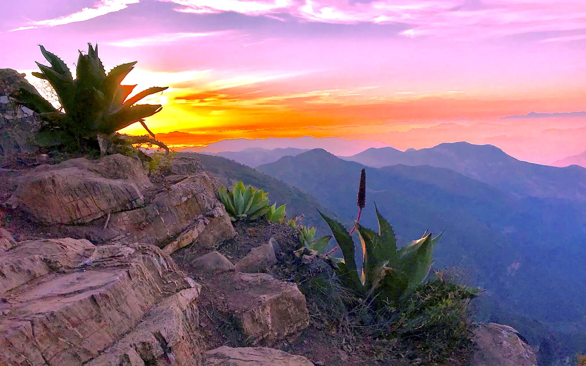 Amanecer en el Mirador 4 Palos en Querétaro, con montañas y vegetación iluminadas por el sol.