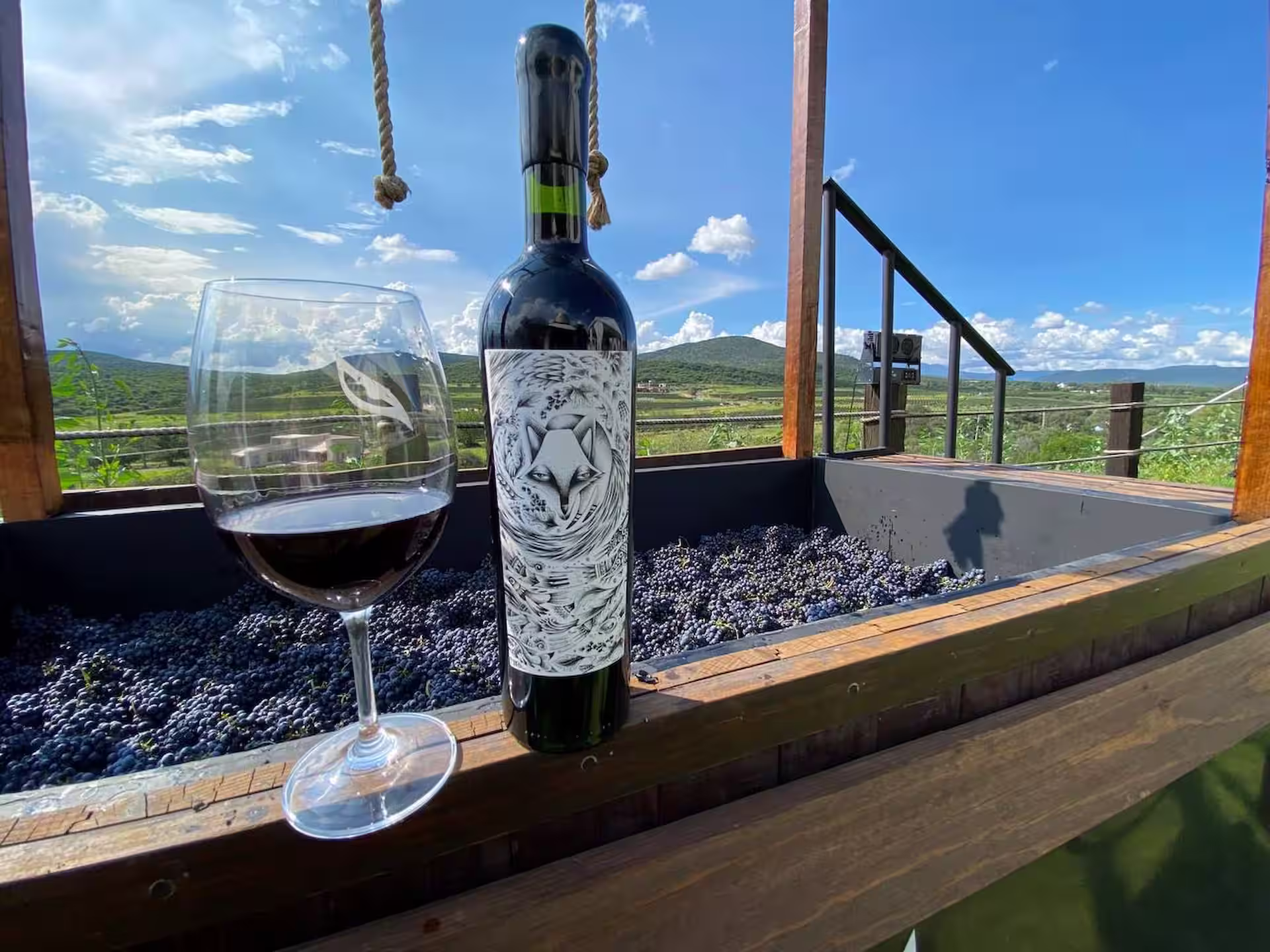 Terraza con vista panorámica al Viñedo Puerta del Lobo, ideal para disfrutar de un día soleado en Querétaro.