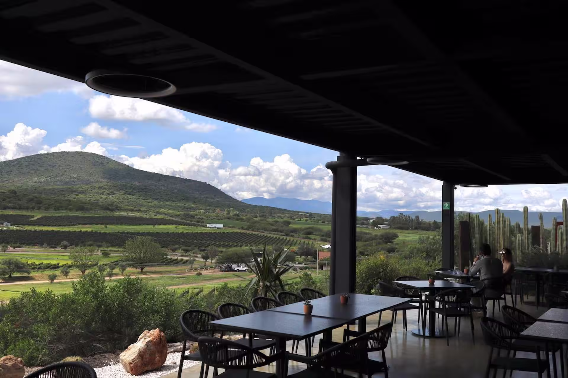 Vista desde el interior de una sala con ventanales al Viñedo Puerta del Lobo, Querétaro.