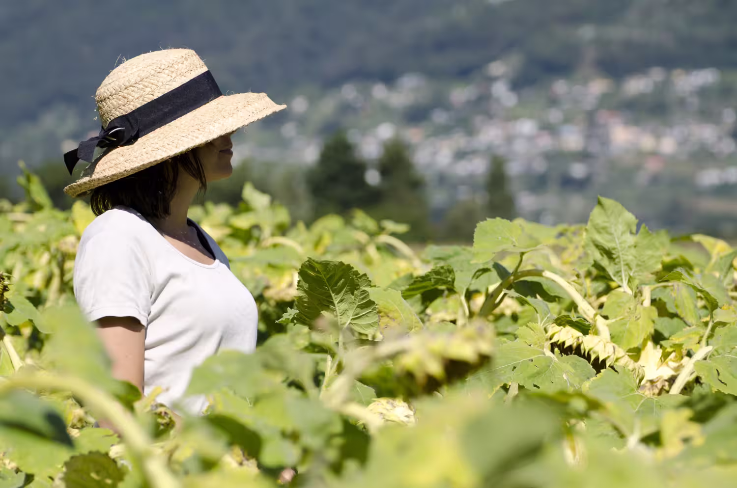 Turista explorando Viñedos Azteca en Querétaro, rodeada de naturaleza y viñas