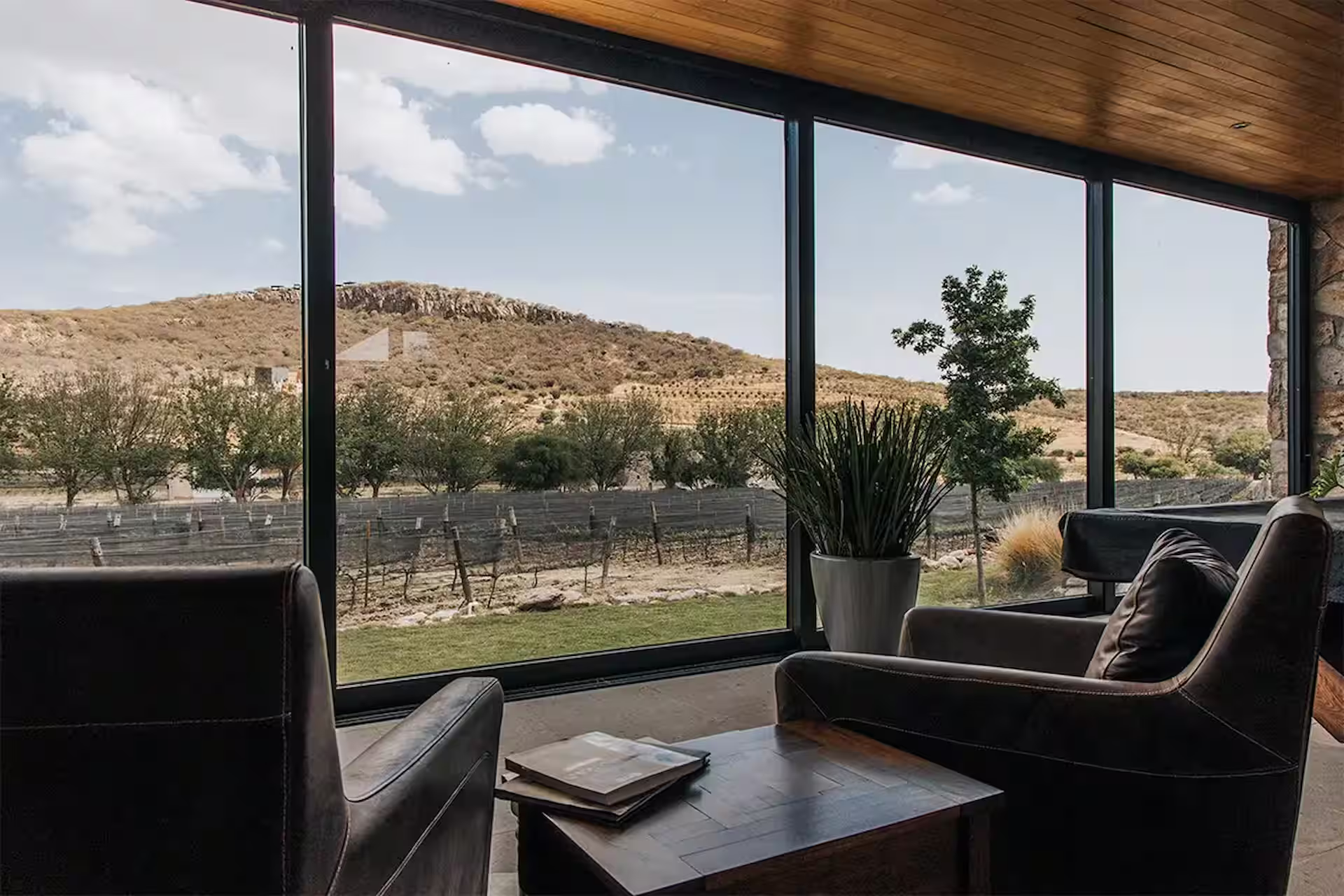 Vista desde el interior de una sala con ventanales al Viñedo Puerta del Lobo, Querétaro.