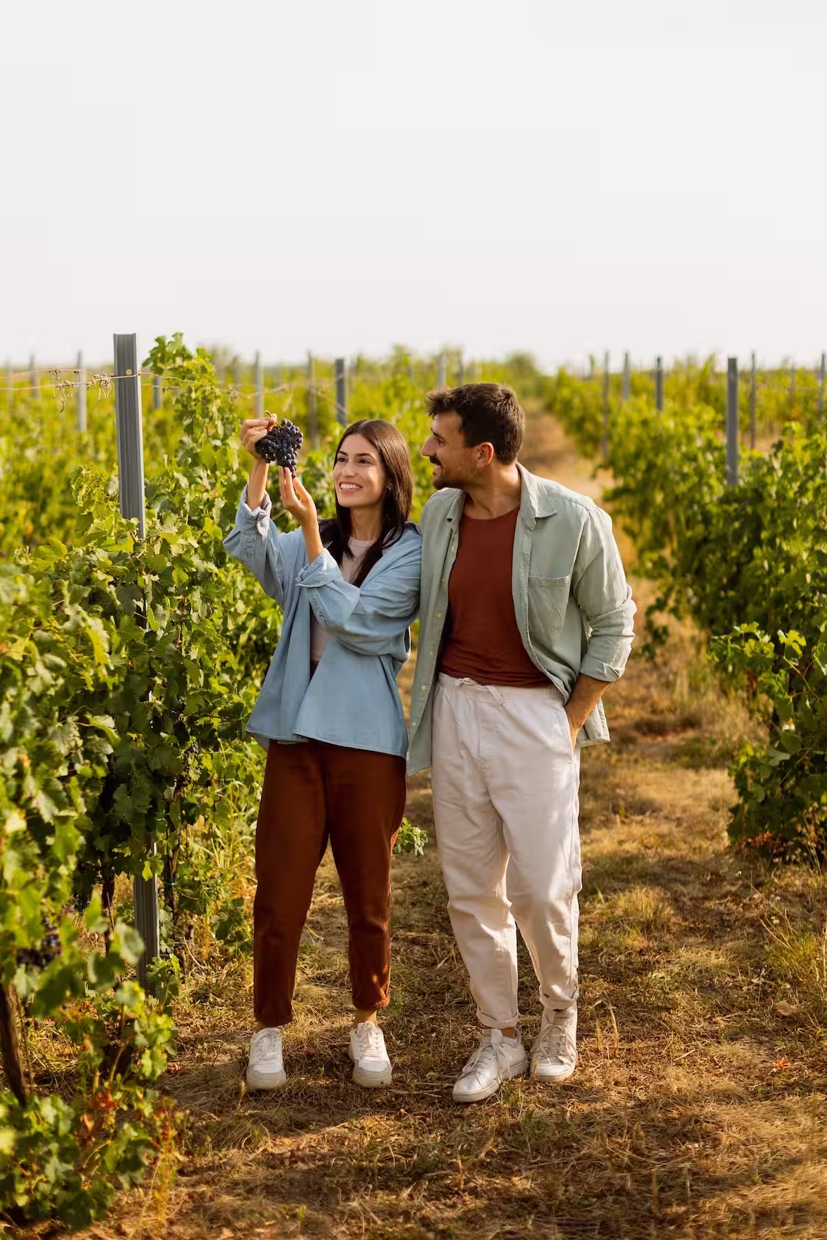 Pareja disfrutando de un día soleado en un viñedo de Querétaro, rodeados de vides y naturaleza