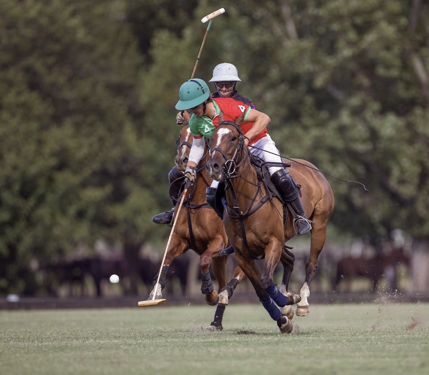 Cuadra Blanca se corona en la Copa de Aniversario de Vinedos del Polo .jpeg 3 Cuadra Blanca se corona en la Copa de Aniversario de Vinedos del Polo .jpeg 3