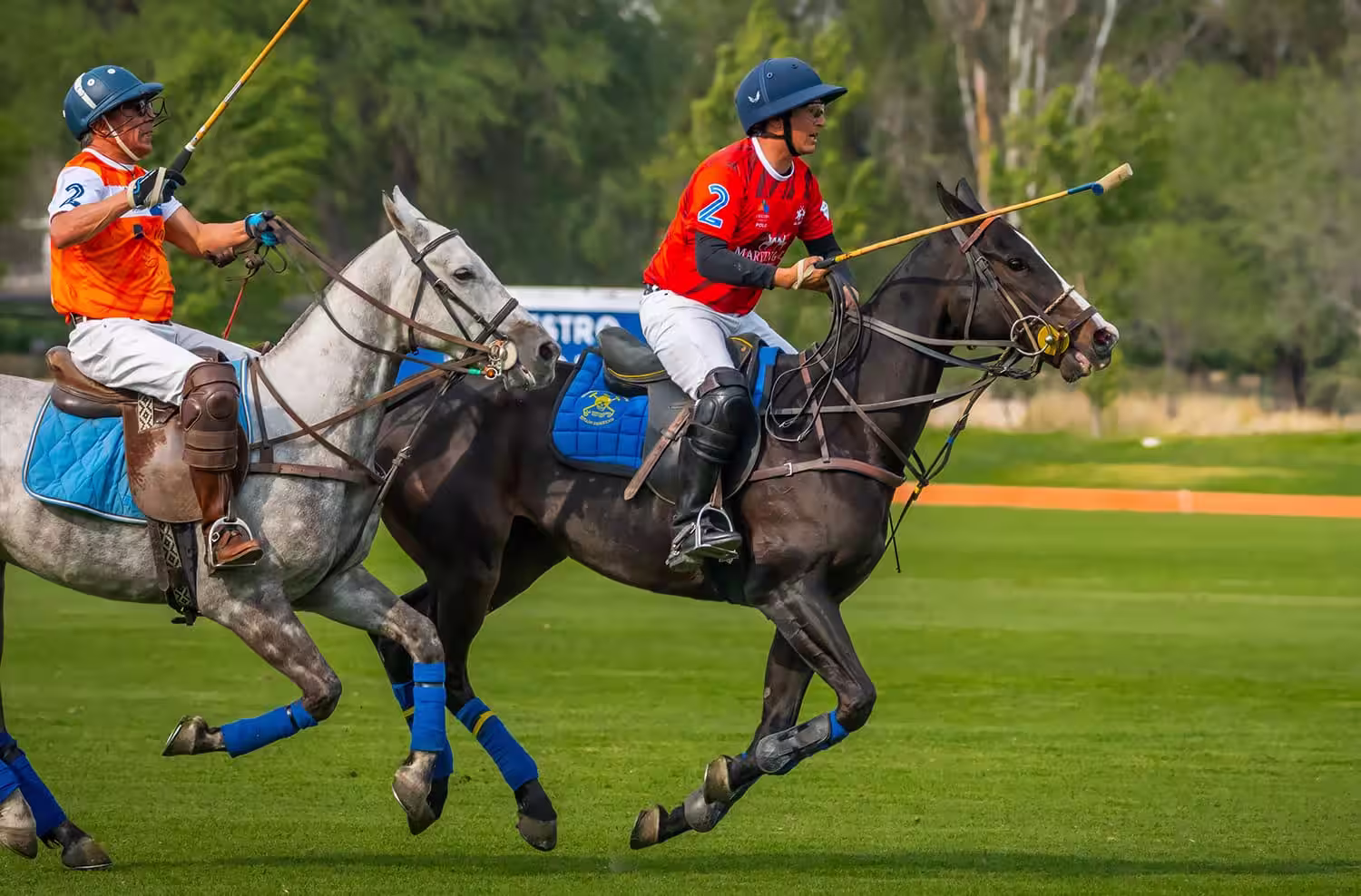 Polo Profesional en Viñedos del Polo, Querétaro | Canchas Certificadas y Experiencia de Lujo Jugadores de polo en acción en Viñedos del Polo, Querétaro, disfrutando de un deporte de lujo en canchas certificadas.