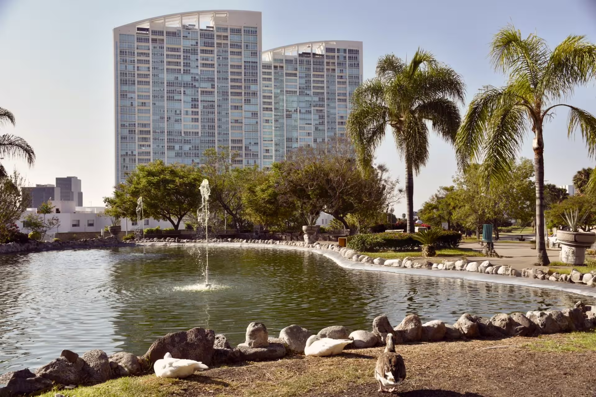 Vista del parque y lago en Juriquilla Querétaro, con modernas torres residenciales de lujo al fondo.