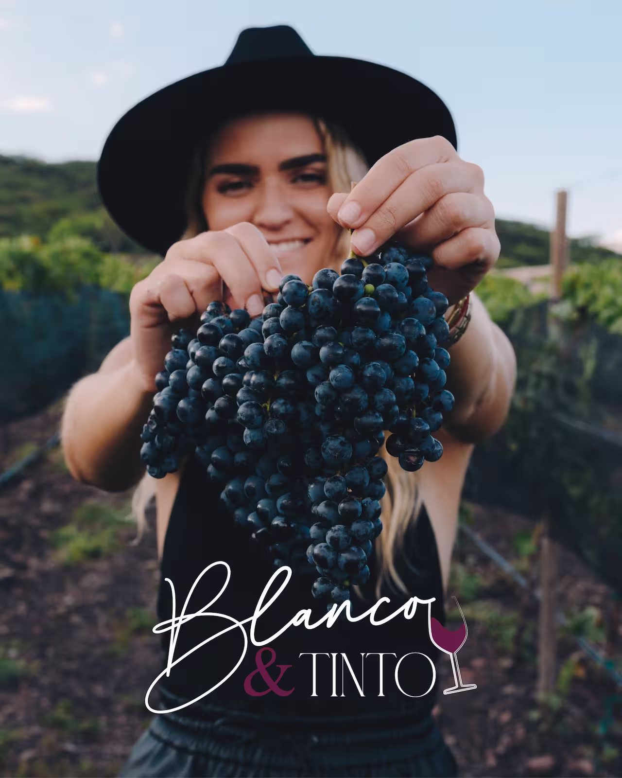 Vendimia Blanco & Tinto Viñedo Puerta del Lobo