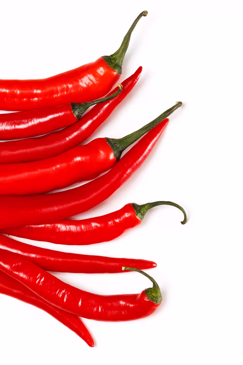 Manojo de chiles secos rojos sobre fondo blanco