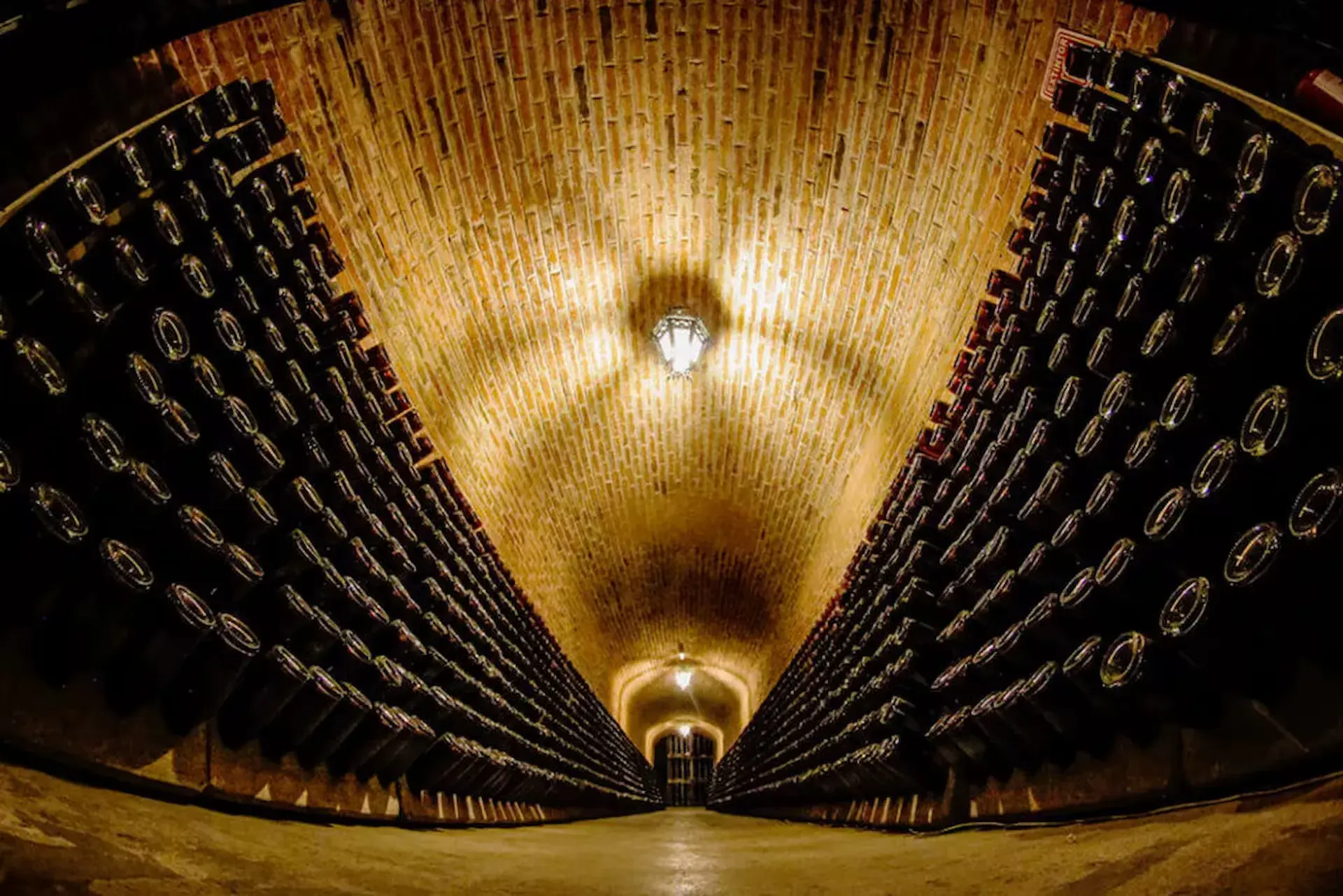 Cava subterránea de vinos en Freixenet Querétaro Sala Vive México (Doña Dolores), Querétaro – experiencia sensorial de lujo enoturístico.