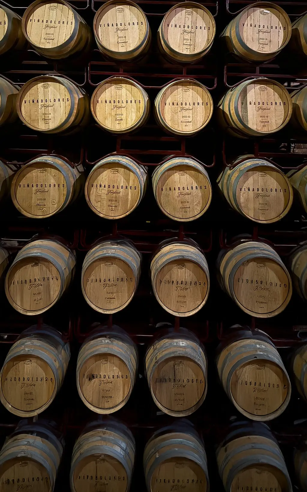 La vid en Viñedos Puerta del Lobo en Querétaro — enoturismo de lujo, tradición vitivinícola y lifestyle premium