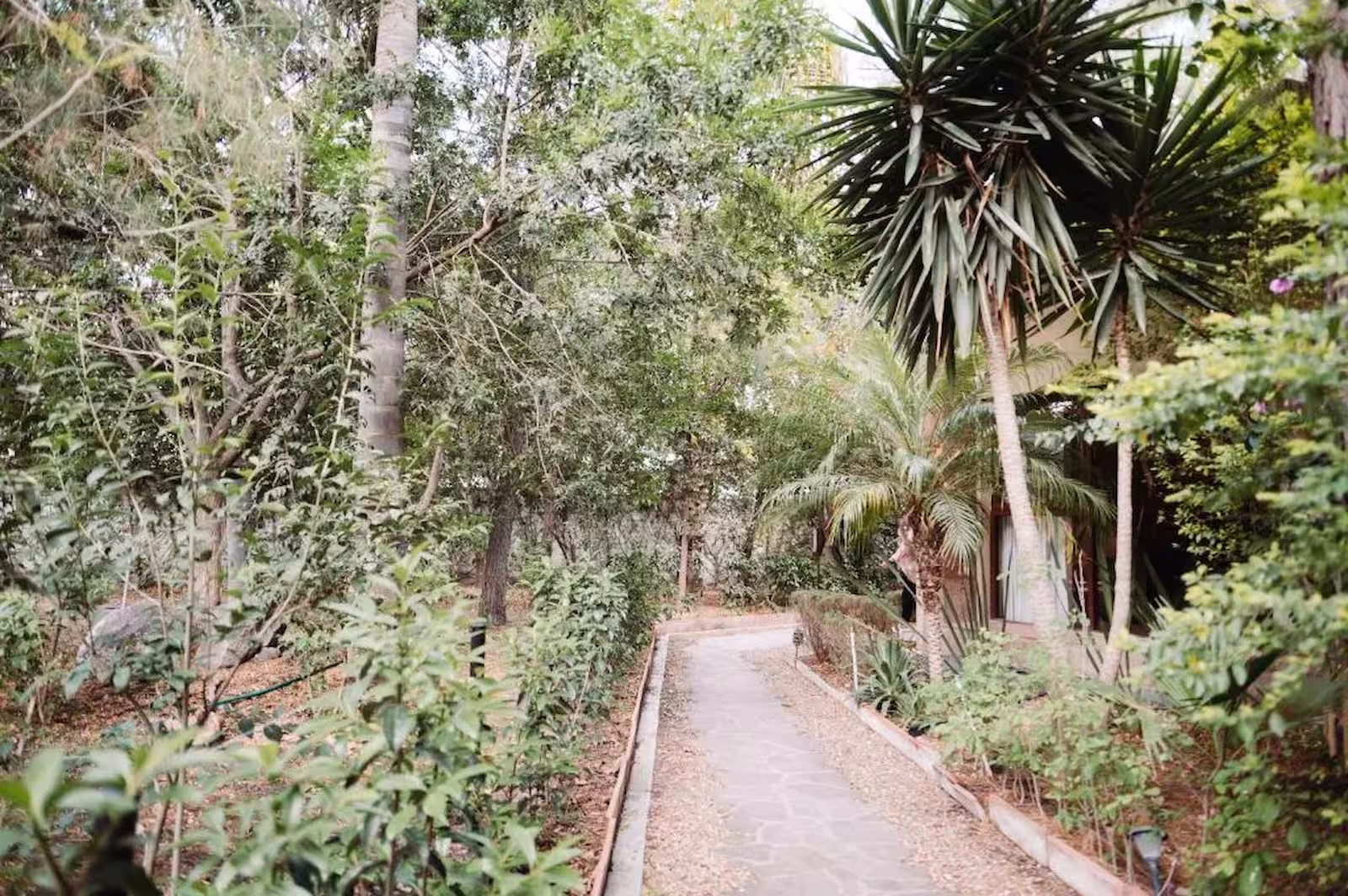 Vista de la entrada y camino hacia María y Bernardo Casa Viñedo en Querétaro México — arquitectura vinícola integrada al paisaje natural.