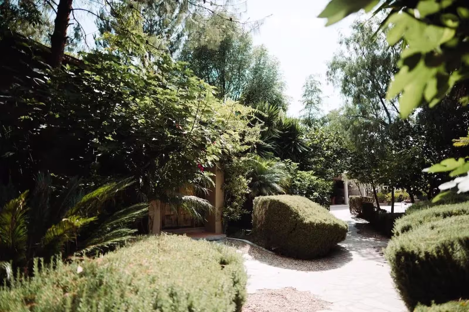 Entrada principal de María y Bernardo Casa Viñedo en Querétaro México — arquitectura vinícola contemporánea y elegancia natural.