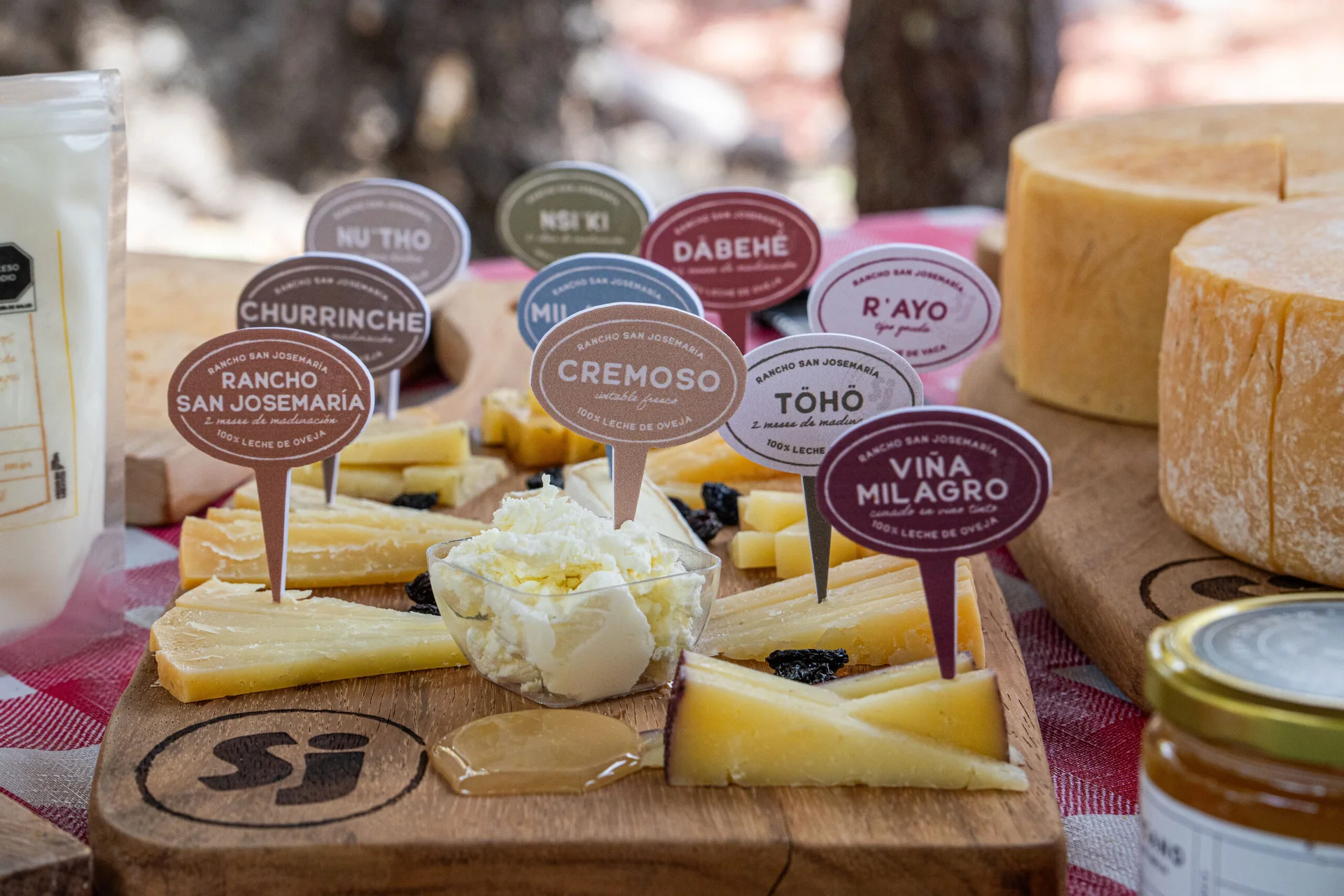 Rancho San Josemaría tabla de degustación de quesos de oveja y maridaje