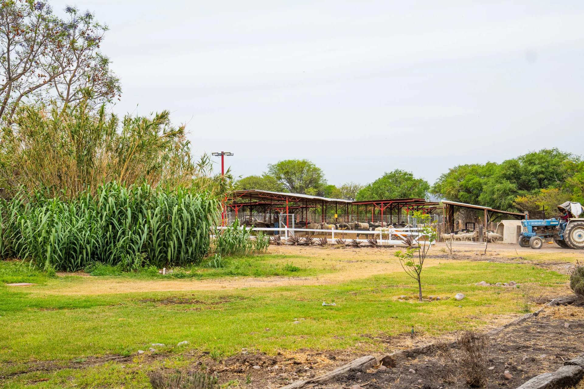 Rancho San Josemaría vista panorámica de corrales y praderas