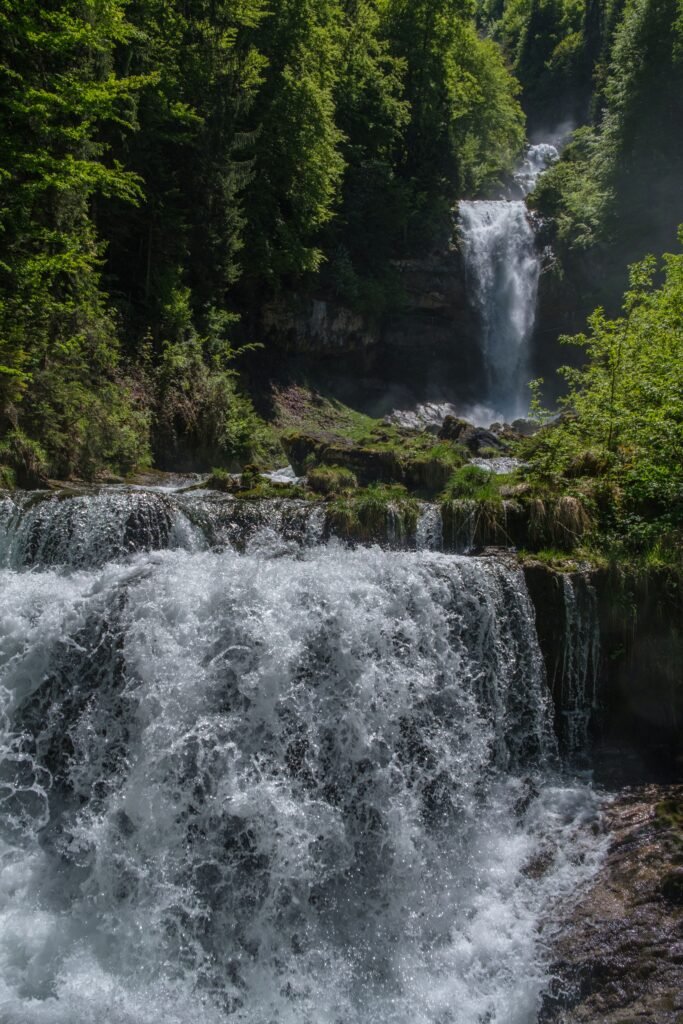 Cascada rodeada de vegetación boscosa