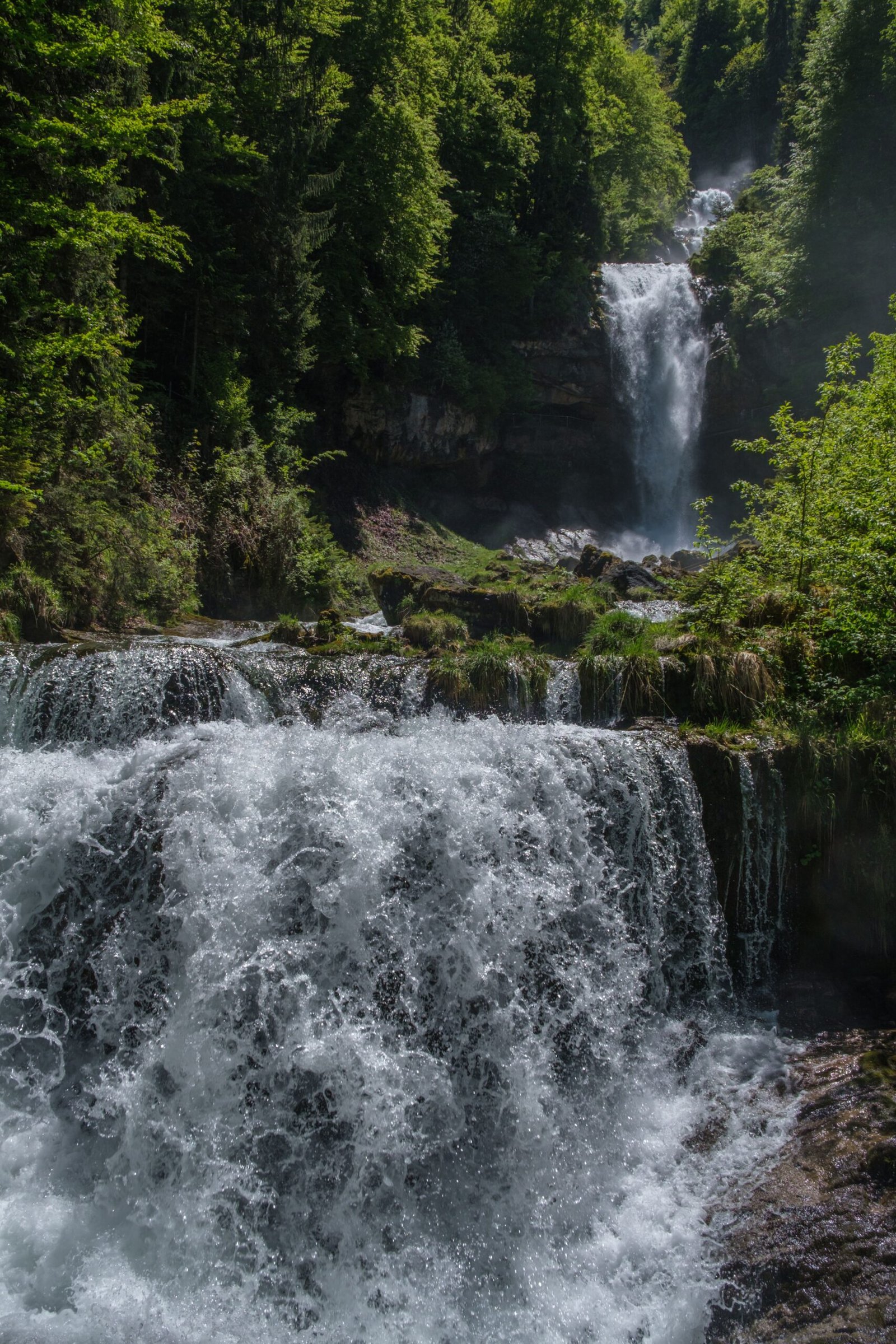 Cascada rodeada de vegetación boscosa
