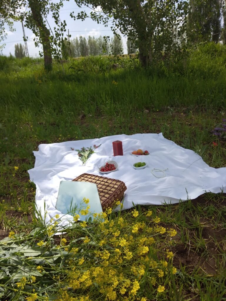 Canasta y alimentos sobre una manta de picnic en el césped